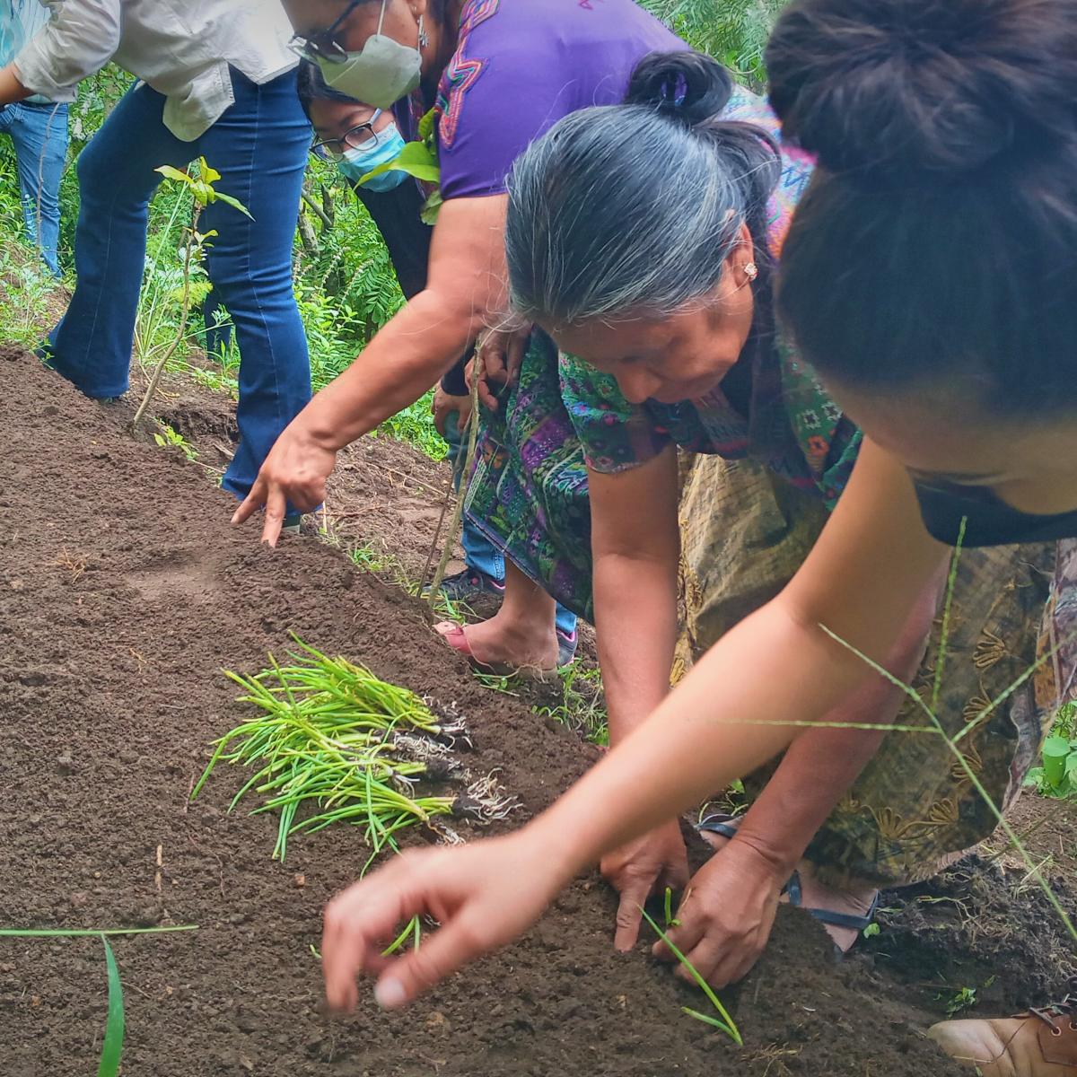 Rural Extension Guatemala