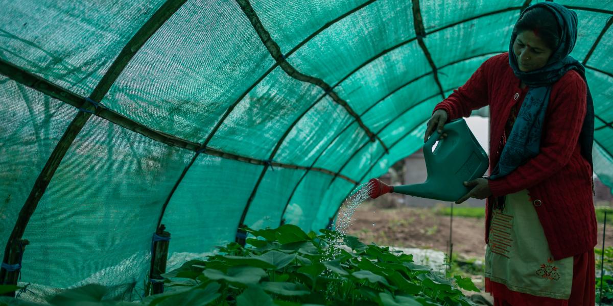 Woman watering plants in a greenhouse.