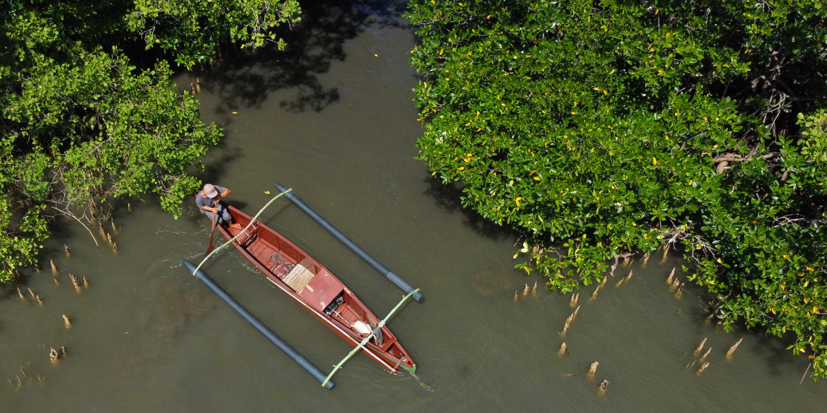 A red boat floats through a mangrove in the Philippines