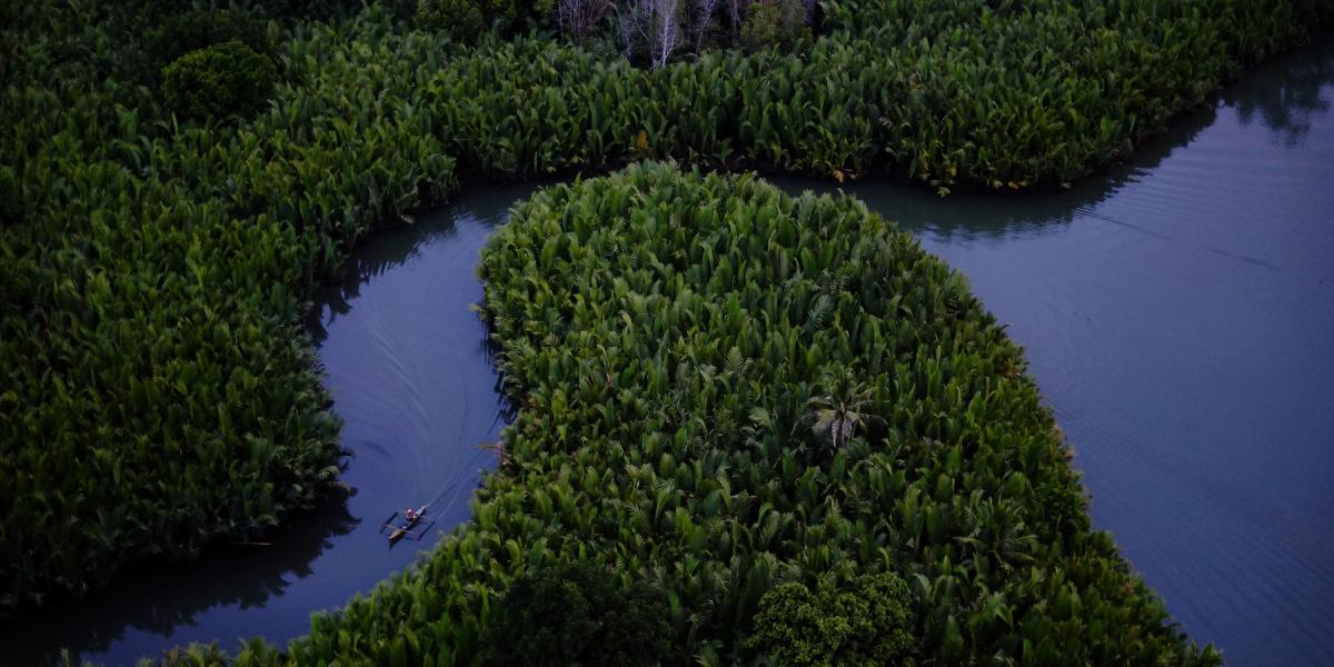 A boat floats along a river, which cuts through lush green mangroves.