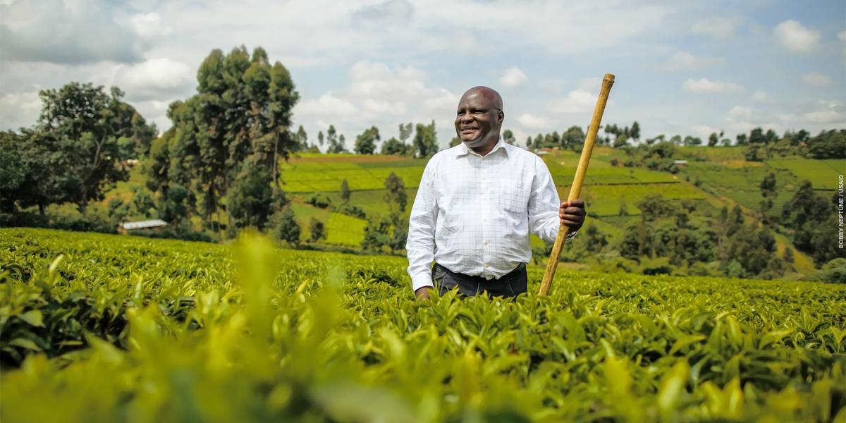 A farmer stands in his green field