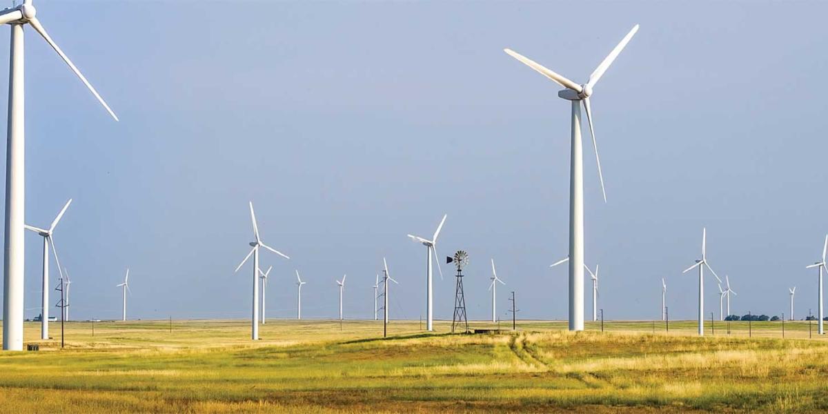 Many wind turbines on a plain covered in golden grasses.