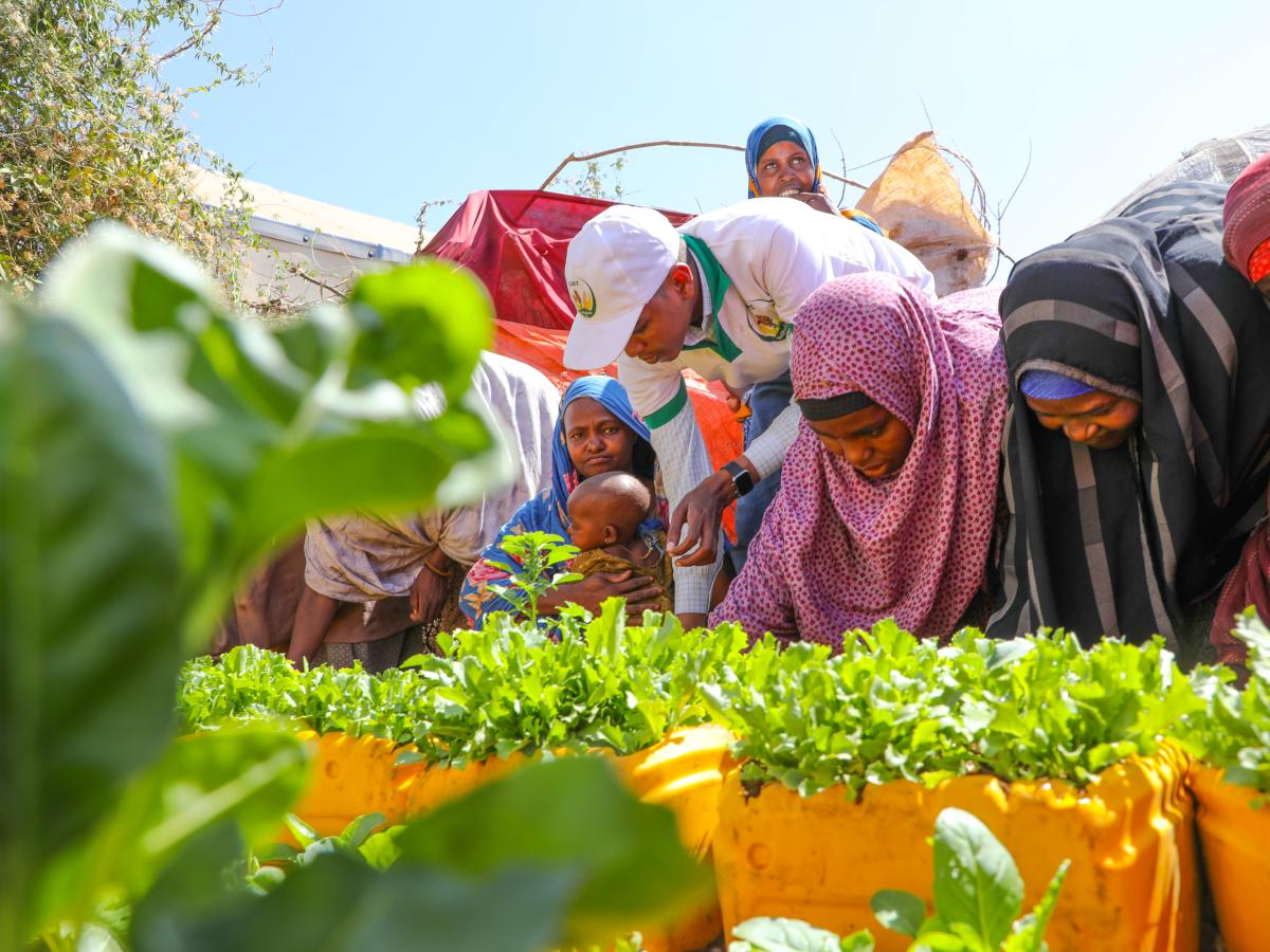 kitchen gardens