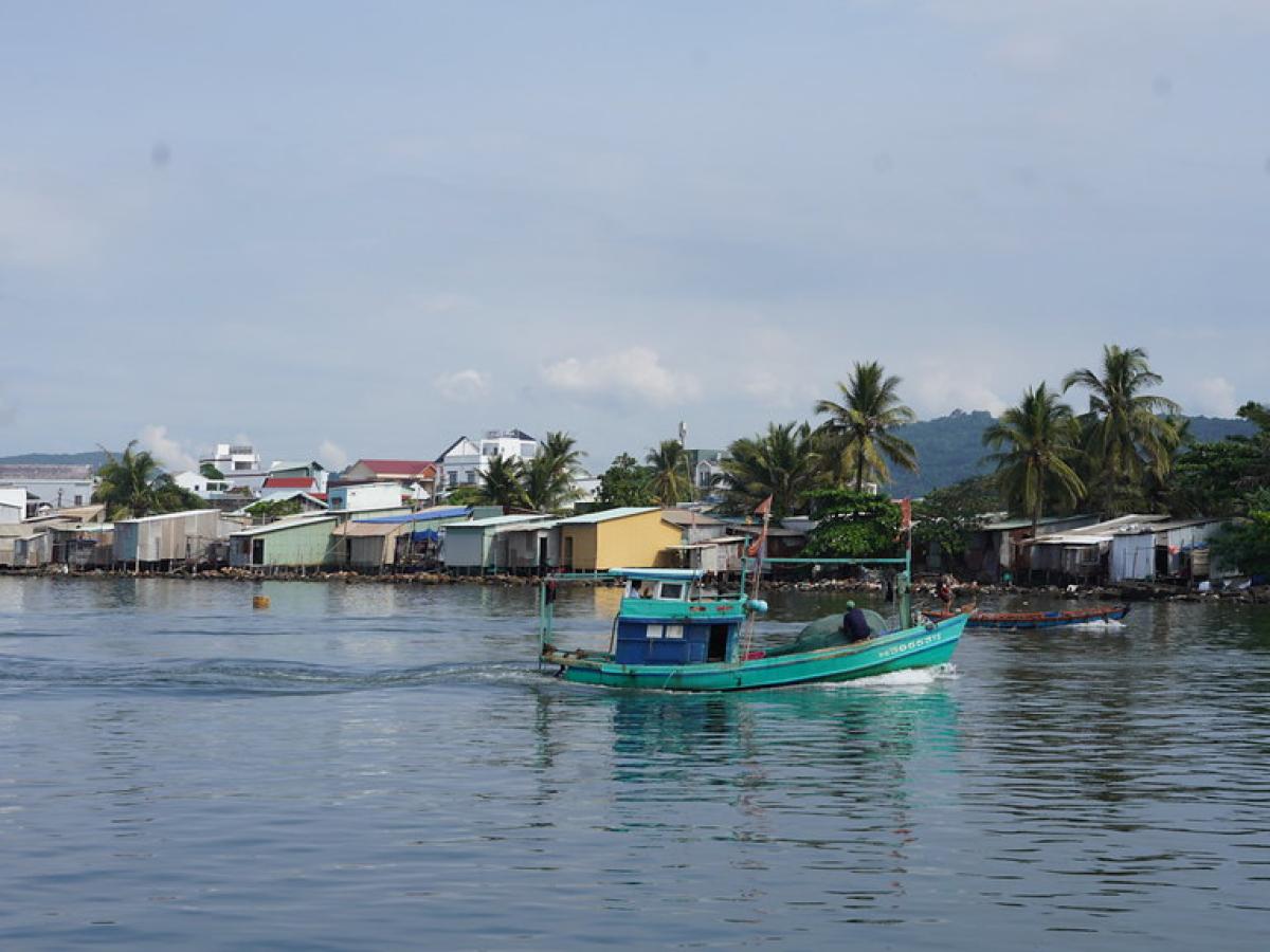 Mekong Delta Coastal Habitat Conservation