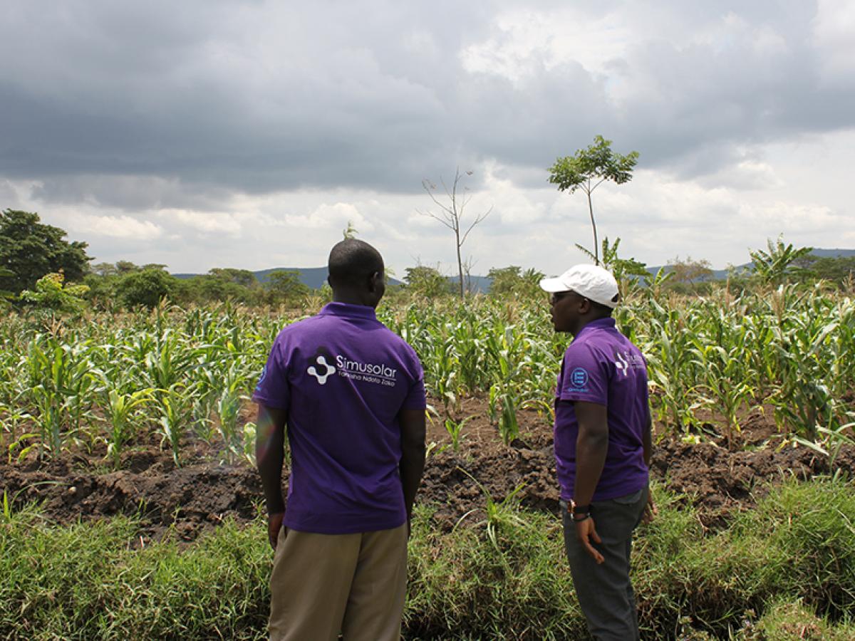 Simusolar staff conducting a site visit to help a farmer install solar pumps