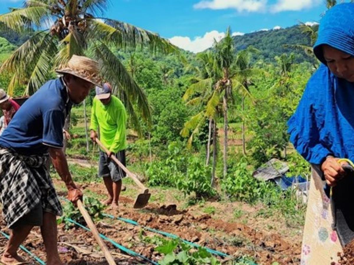 Farmers are cultivating the land to prepare for the next planting season