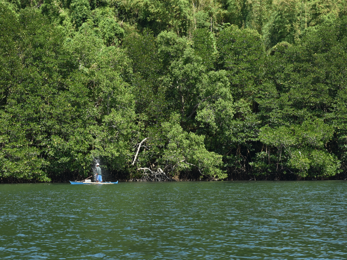 A fisherman fishes off the side of a small blue boat in a river.