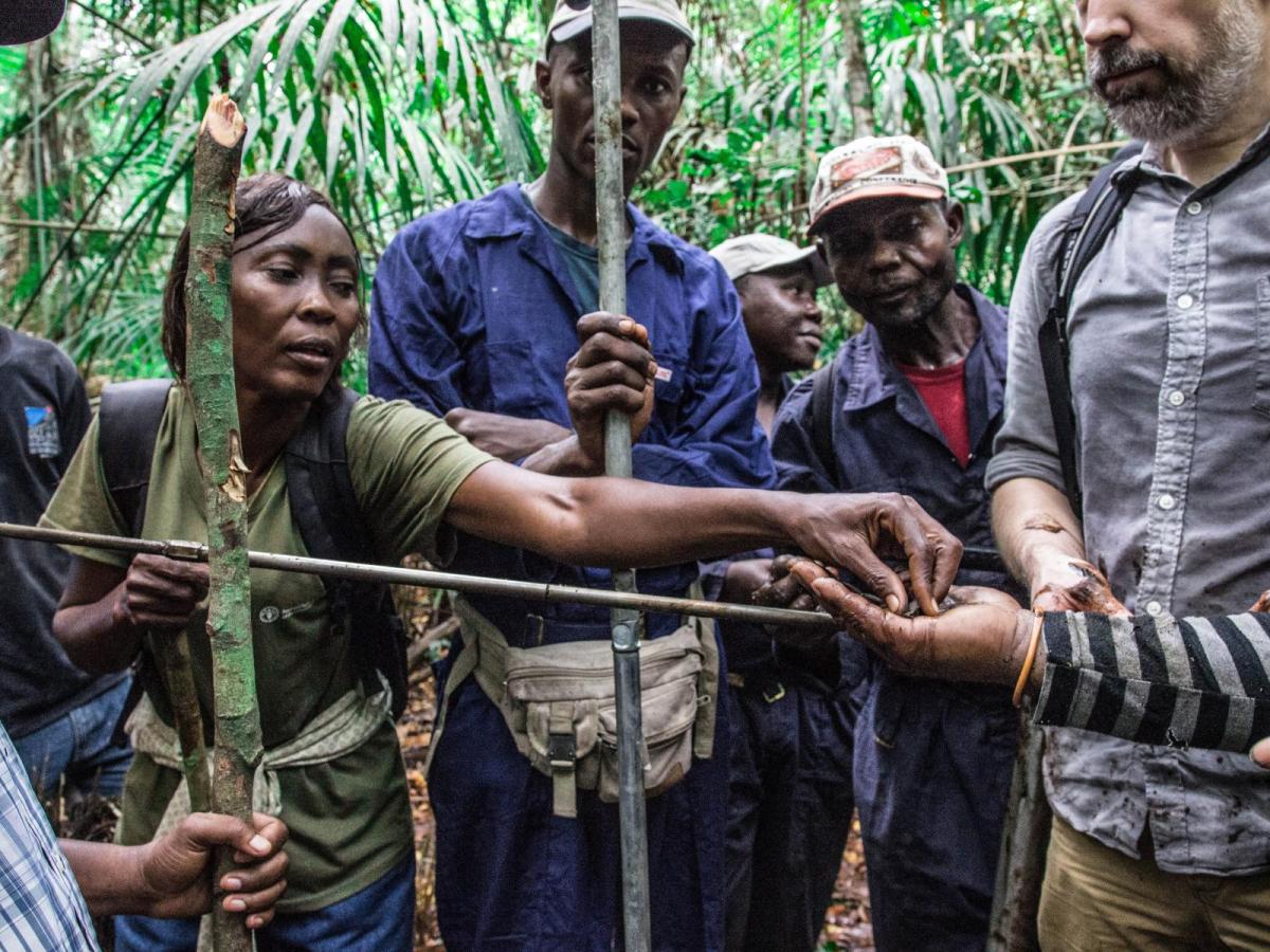 A group of people stand in a forested areas learning how to measure peatlands.