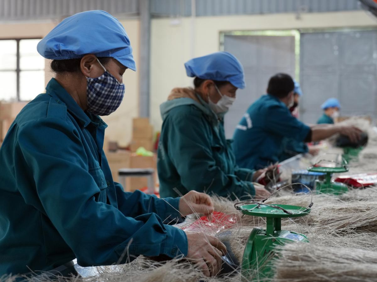 Small and growing businesses are essential to Vietnam’s economic growth, accounting for more than 90% of the private sector and contributing to 40% of GDP