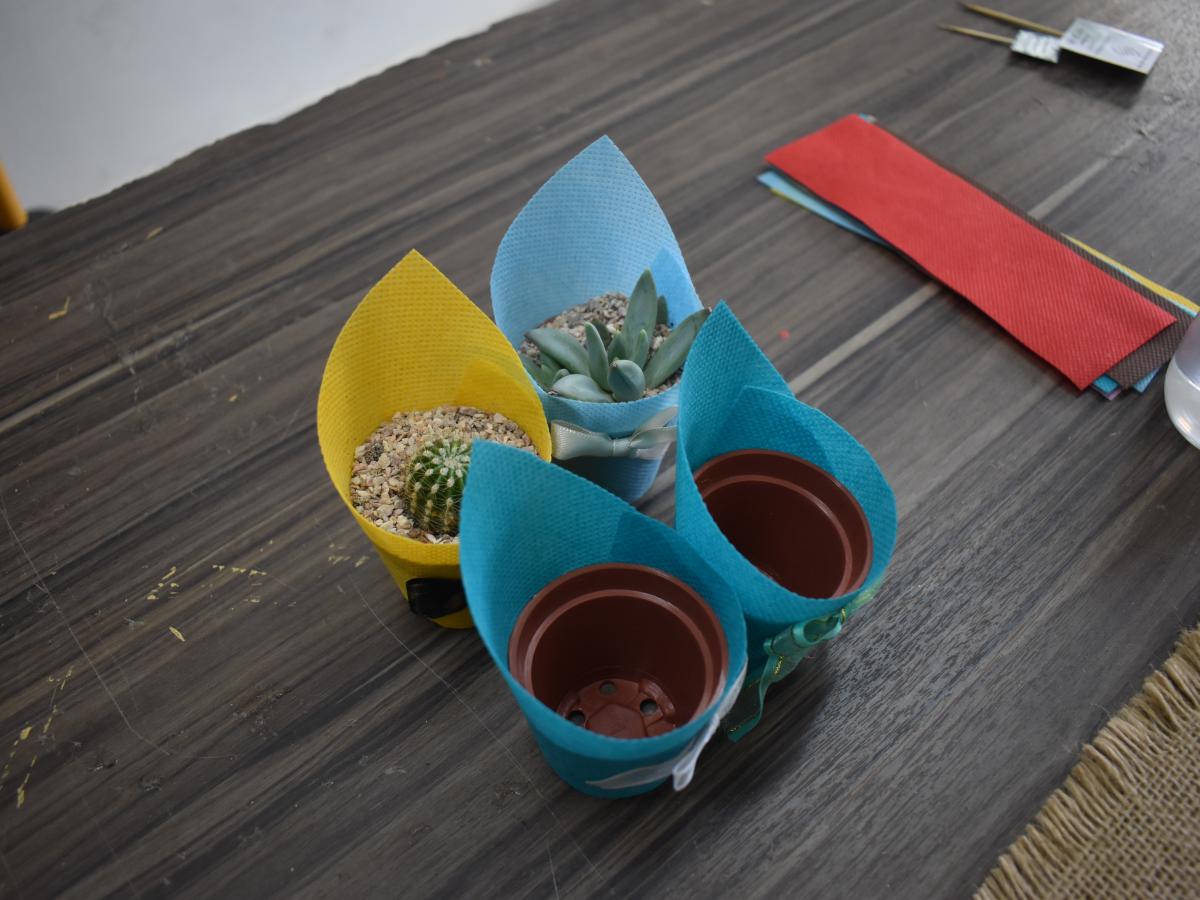 This picture shows four pots, two of them with cacti. The pots are decorated with blue and yellow wrapping paper. 