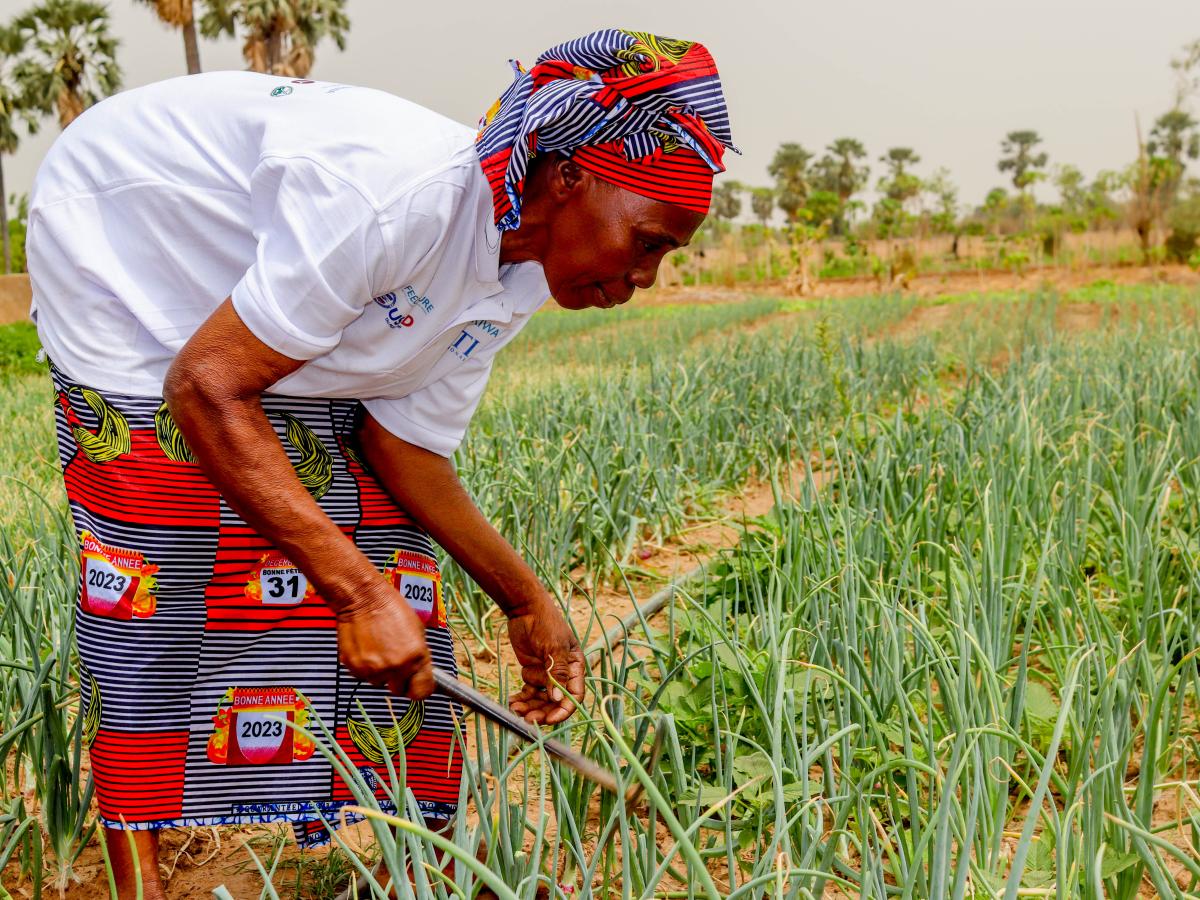 Banifé Dembélé, from Suturaton cooperative in Nampossela village, Koutiala region, in garden