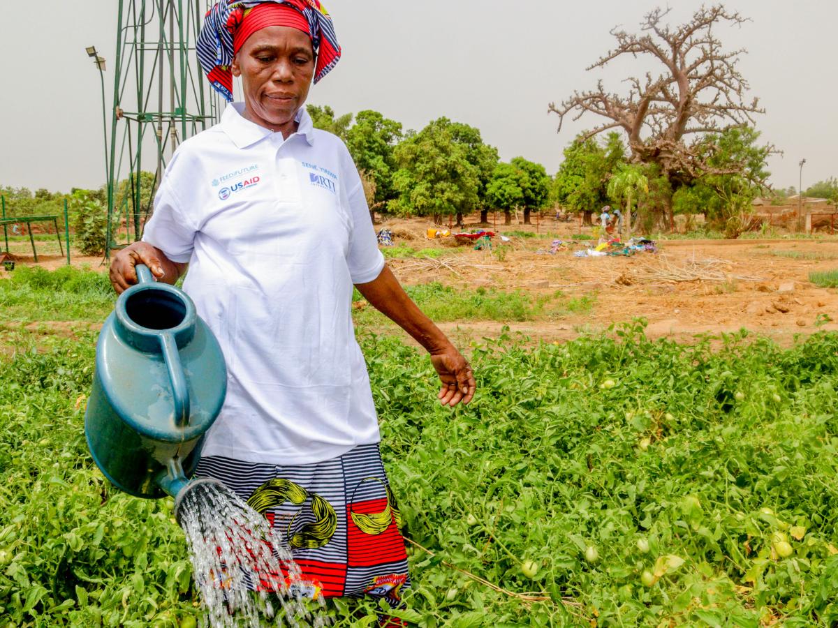 Banifé Dembélé, from Suturaton cooperative in Nampossela village, Koutiala region, weeding her shallot garden. Photo credit : Feed the Future Mali Sene Yiriwa - South