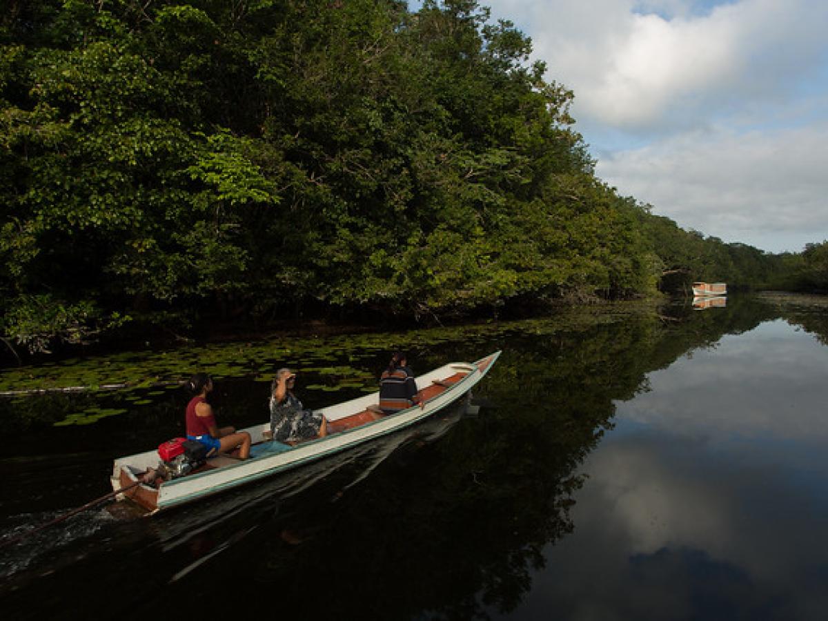 USAID/Brazil works with local partners in Extractive Reserve Verde Para Sempre in the Pará state to promote social wellbeing and empowerment through the management, commercialization and promotion of market access to sustainable timber and non-timber forest products. 