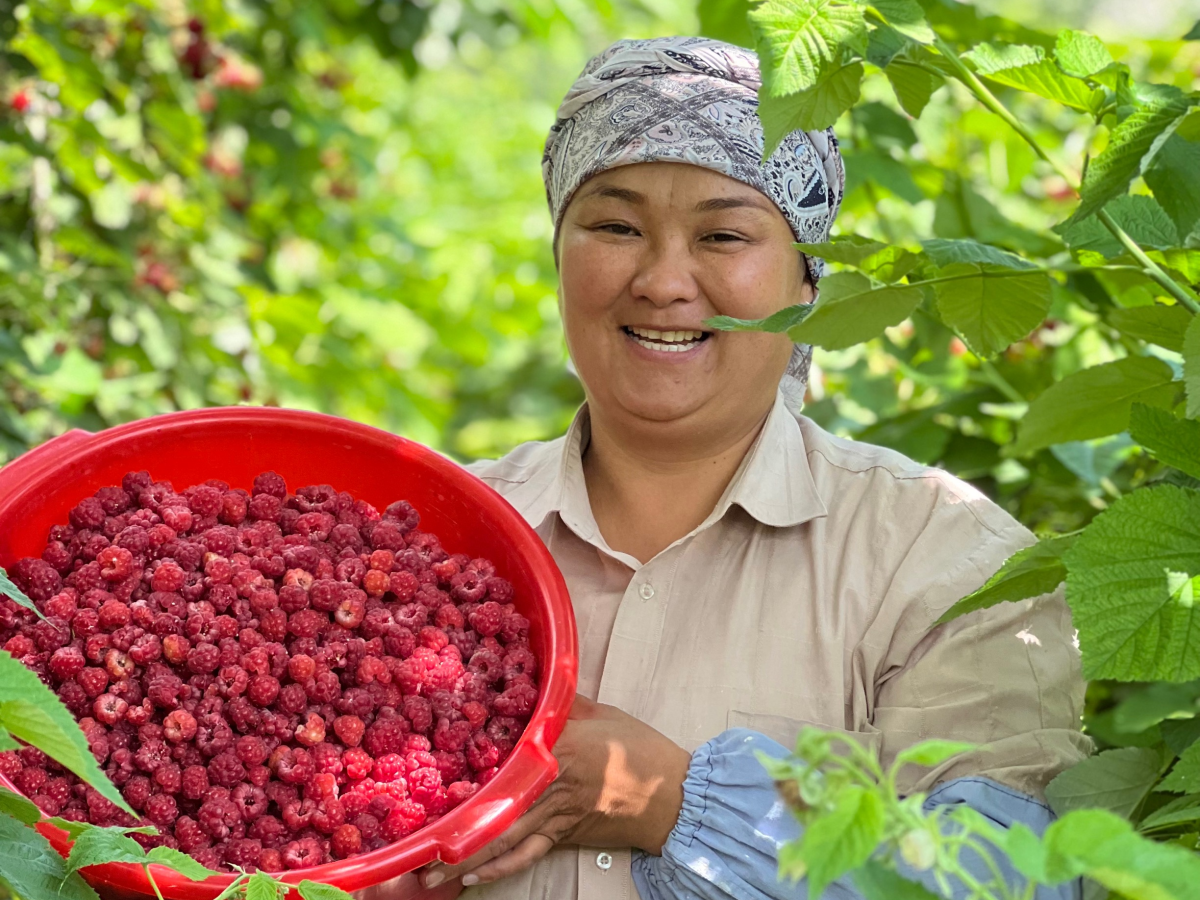 lady in a rasperry farm 