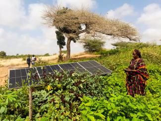 SOLAR POWER BRINGS CLIMATE-FRIENDLY EFFICIENCY AND PROFIT TO WOMEN’S FARMS