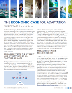 The Economic Case for Adaptation