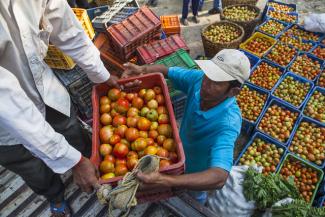 Feed the Future’s KISAN project worked with farmers to help increase households incomes through improved farming practices and stronger connections to markets. Knowledge-based Integrated Sustainable Agriculture and Nutrition (KISAN) Project