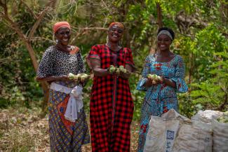 Farmhands at Bamtaa Farms in the Upper West region showcase their produce after USAID-supported the farm owner to procure a solar powered irrigation system