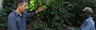 Two small coffee producers check the progress of the plantation.