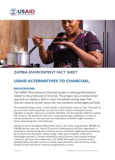 A Zambian woman is cooking in this thumbnail for the Alternatives to Charcoal fact sheet