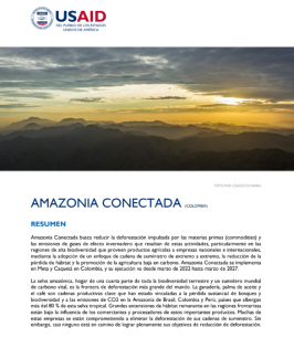 Fact Sheet Amazonia Conectada