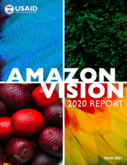 Amazon Vision Report