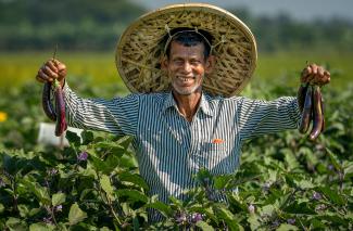 Bangladeshi shows off his eggplant export crops