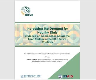 Increasing the Demand for Healthy Diets: Evidence on Approaches Across the Food System in Feed the Future Contexts