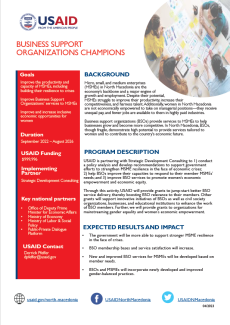 Business Support Organizations Champions Fact Sheet