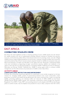 Combating Wildlife Crime