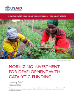 Catalytic Funding Learning Brief