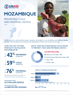 2024 MCHN Country Specific Fact Sheet: mozambique