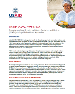 Cover for USAID CATALYZE MS4G Fact Sheet