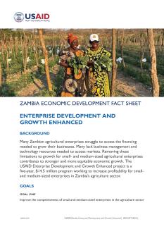 Two Zambian women farmers hold fresh greens while standing in a produce farm is the thumbnail for the Enterprise Development and Growth Enhanced activity fact sheet