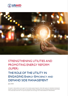 thumbnail image of SUPER energy efficiency and demand side management report