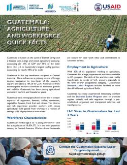 Guatemala: Agriculture and Workforce Quick Facts