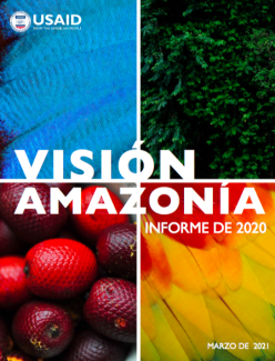 Visión Amazonía