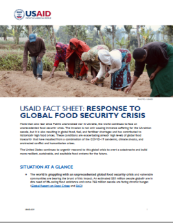 food security fact sheet