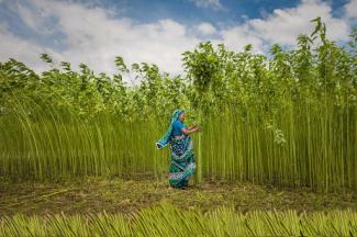 A woman works in a field