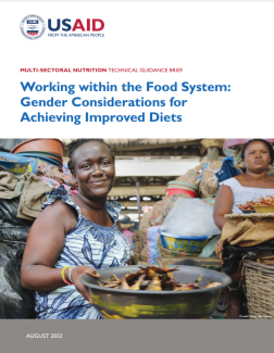 Cover page of Working within the Food System: Gender Considerations for Achieving Improved Diets