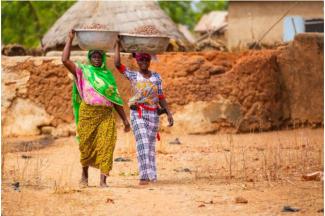 Women carry their shea kernels to market. 