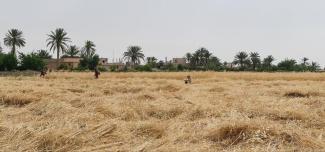 The Aliat facility will reliably and efficiently irrigate surrounding farmers' wheat crops--the cornerstone of northeast Syria's economy.