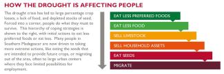 Impacts from the drought