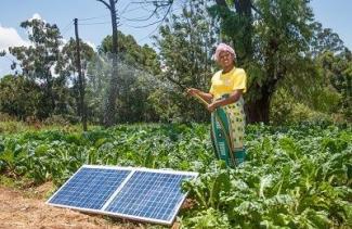 Solar panels in a field