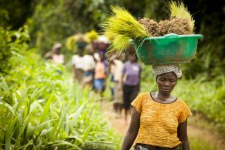 Liberia