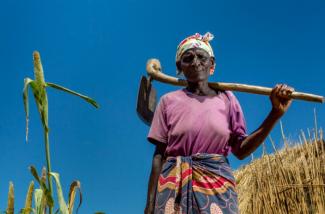 USAID promotes sustainable livelihoods and works to build resilience among Malawian households to promote maintain food security by encouraging farmers, such as Alefa Thom, to diversify production. Today, Alefa is now food secure, together with her entire community.