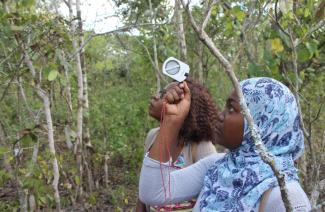 Two female forestry students practice taking tree height measurements in Bunda Forest, central Malawi.