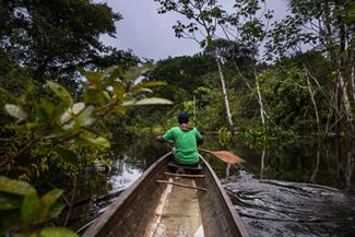 USAID's Report to Congress on Programs in Forestry and the Conservation of Biodiversity During FY 2021: Results and Funding