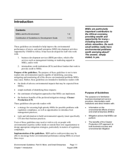 Introduction – MSEs and the Environment (2006)