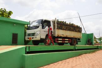 USAID West Africa Trade and Investment Hub, Promo Fruits Benin